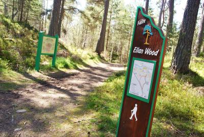 A wooden sign for Ellan woods in Carrbridge
