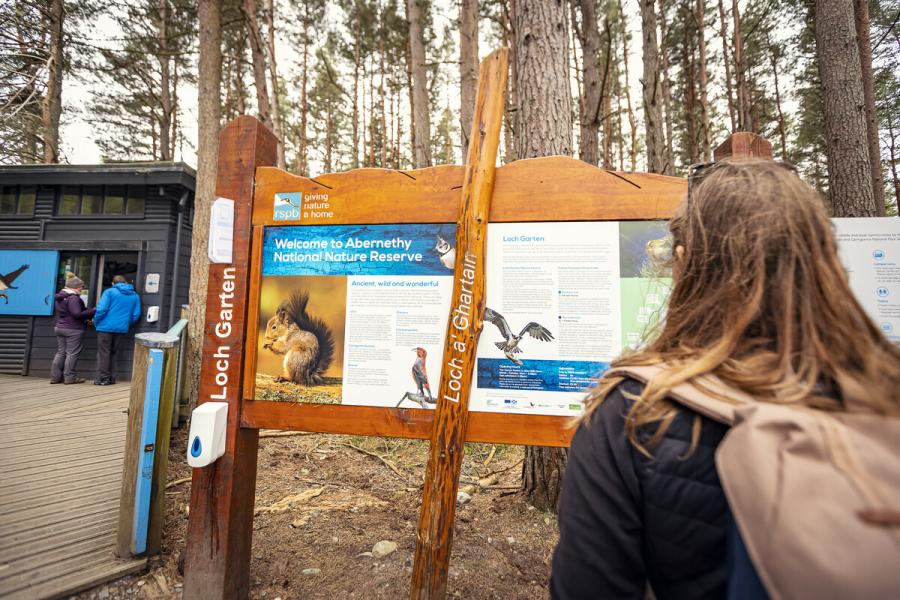 A person reading signage at Abernethy National Nature Reserve