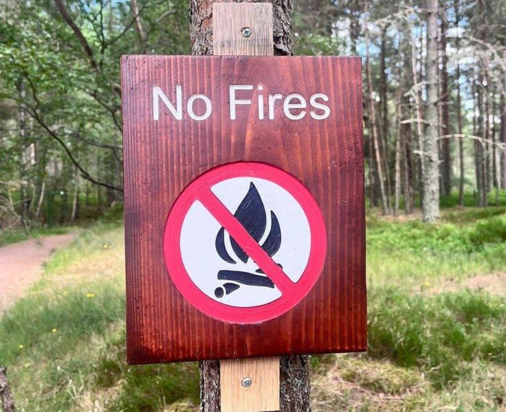A dark wood 'no fires' sign with a red and black icon beneath, attached to a pine tree in woods in the Cairngorms National Park.
