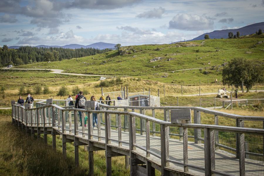 People walking on raised walkway at the Highland Wildlife Park