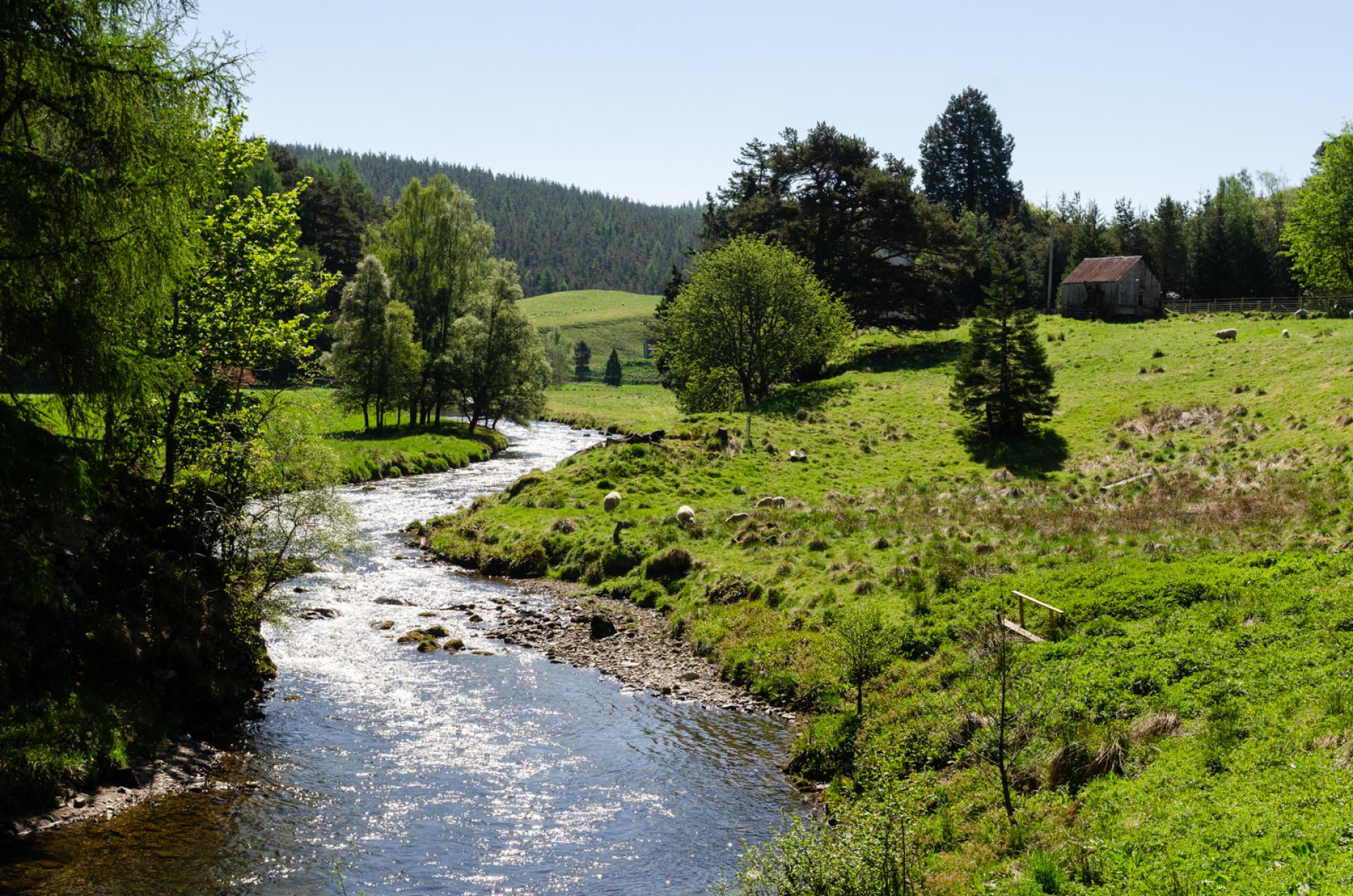A winding river runs through Strathdon.