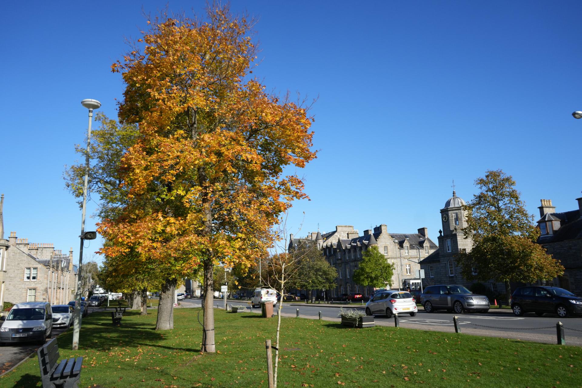 Blue sky over Grantown main street with autumnal trees.