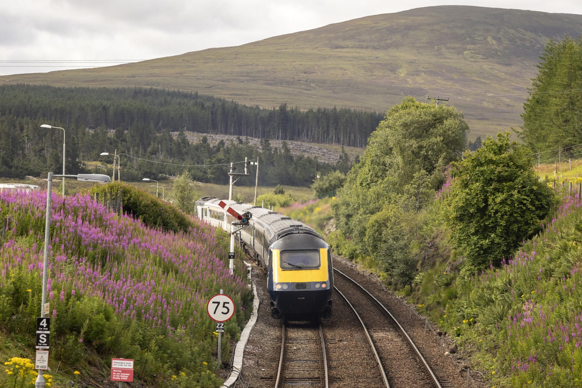 A view from above of a train traveling between flowered banks, with woodland and moorland hills in the background.