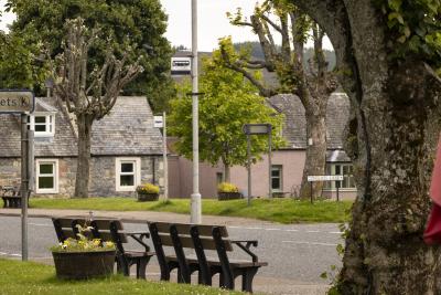 Two benches next to a road in front of a bus stop, grass and pollarded trees with buildings in the background.