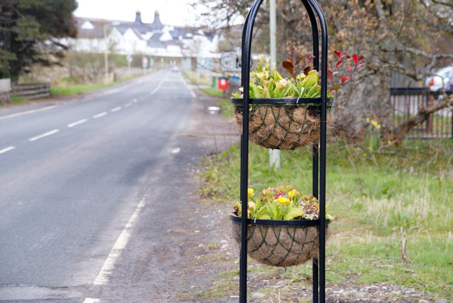 Roadside flowers in Dalwhinnie with the distillery in the distance.