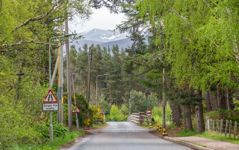 Road leading over a bridge with trees on either side and mountain in distance.
