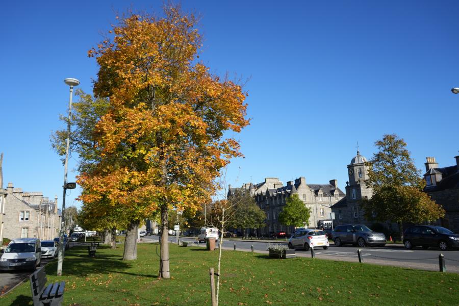 Blue sky over Grantown main street with autumnal trees.