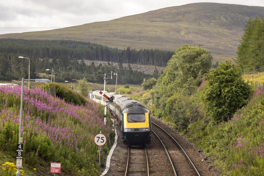 A view from above of a train traveling between flowered banks, with woodland and moorland hills in the background.