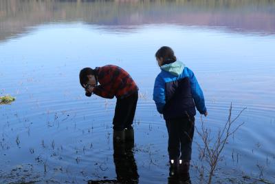 A young boy bending down to take a photo of wildlife beneath the surface of a loch with a young girl looking over his shoulder.