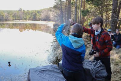 A young girl and boy lift up the grate of a crate with a beaver inside on the shores of a loch.