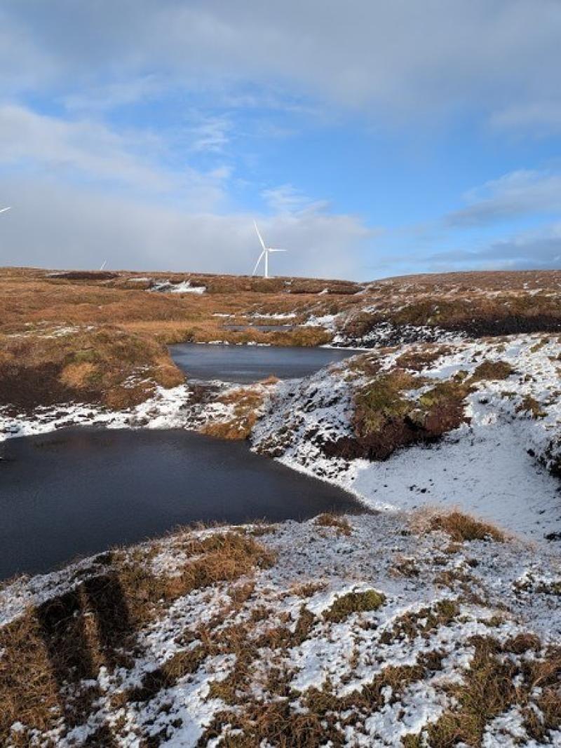 Boggy peatland site in Shetland with wind turbine in the background