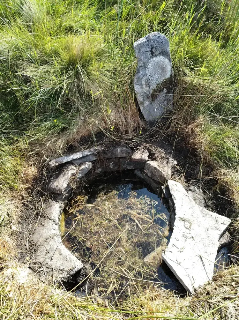 An old well full of water, sunk into the ground with an incomplete ring of stones around the top.