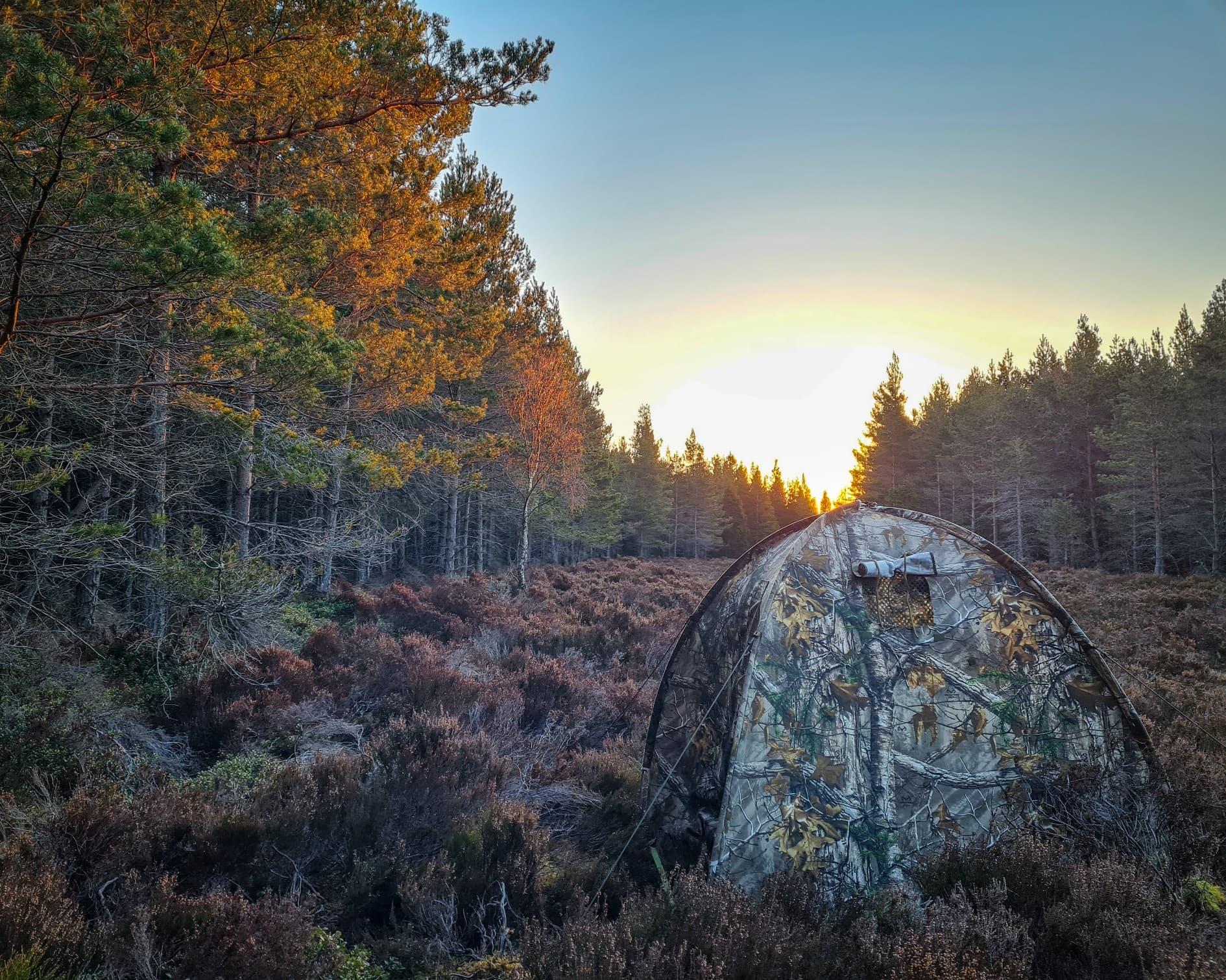 A camoflage tent surrounded by trees
