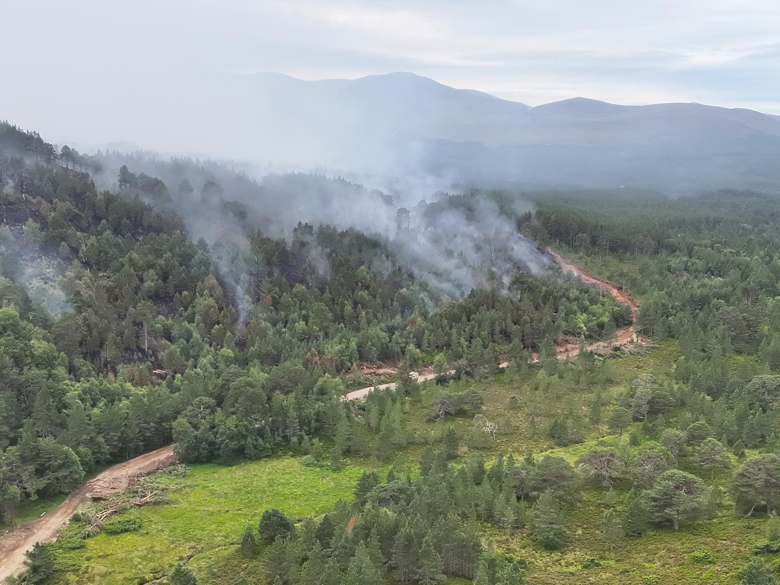 Smoke from wildfire rising from forest in Glenmore.