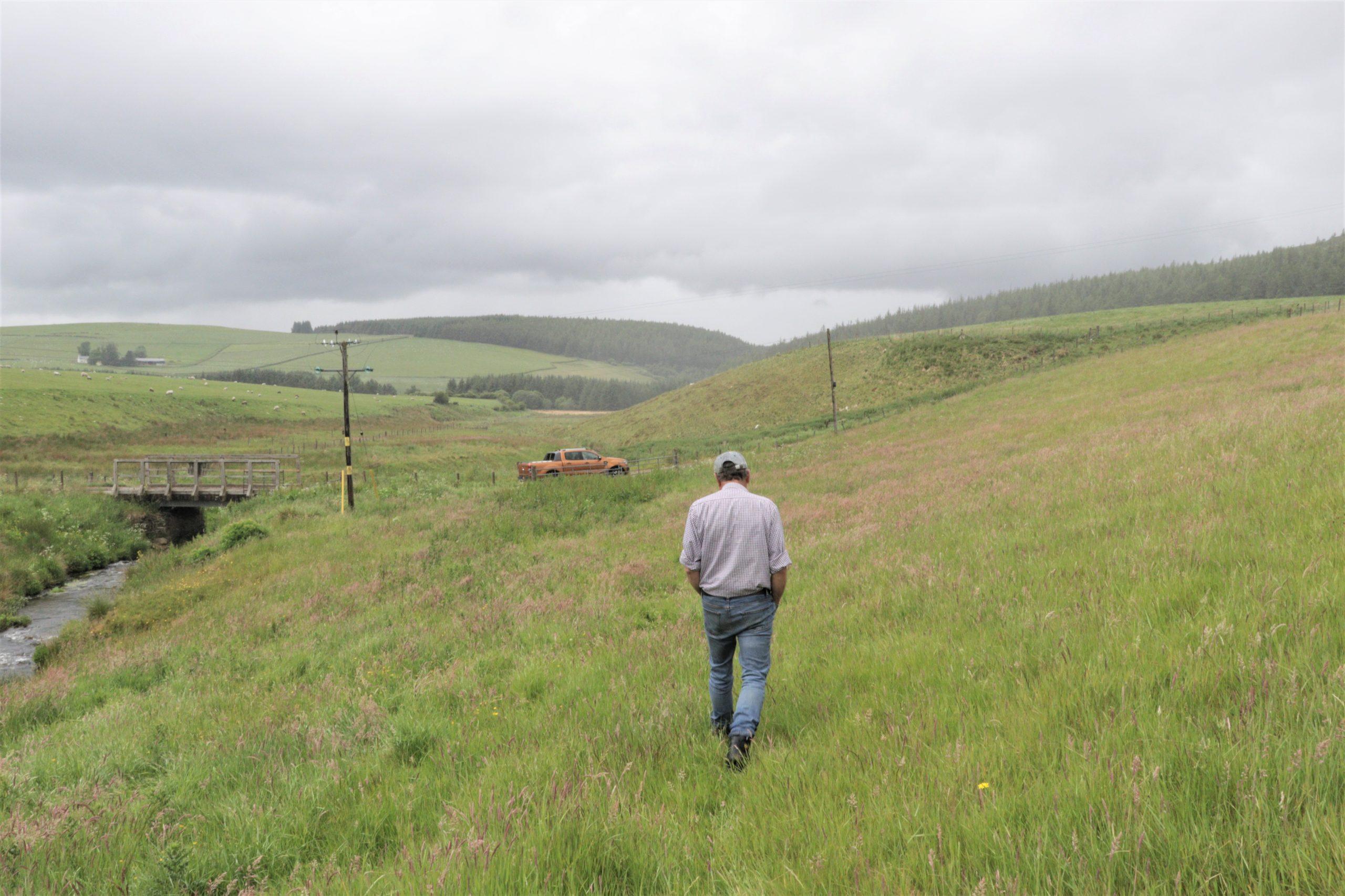 David Toovey on Rhindhu Farm, walking through a grassy field with a burn on the left hand side, as he heads away from the photographer.