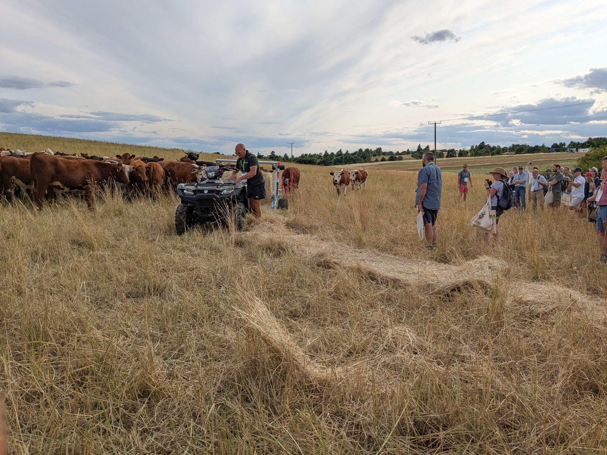Group of people watching a demonstration of a hay bale unwinder with cows in field behind.