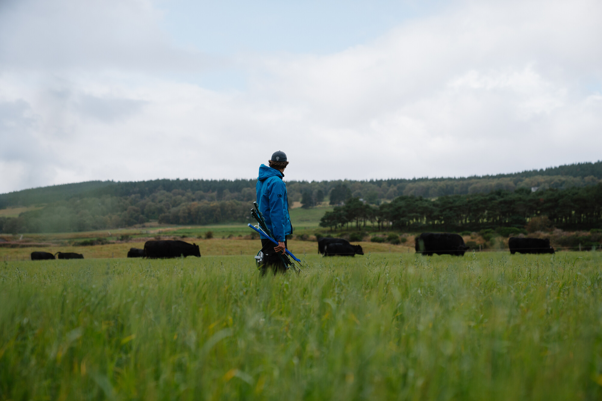 Farmer wearing a blue jacket and blue cap in a field with cows grazing long grass.