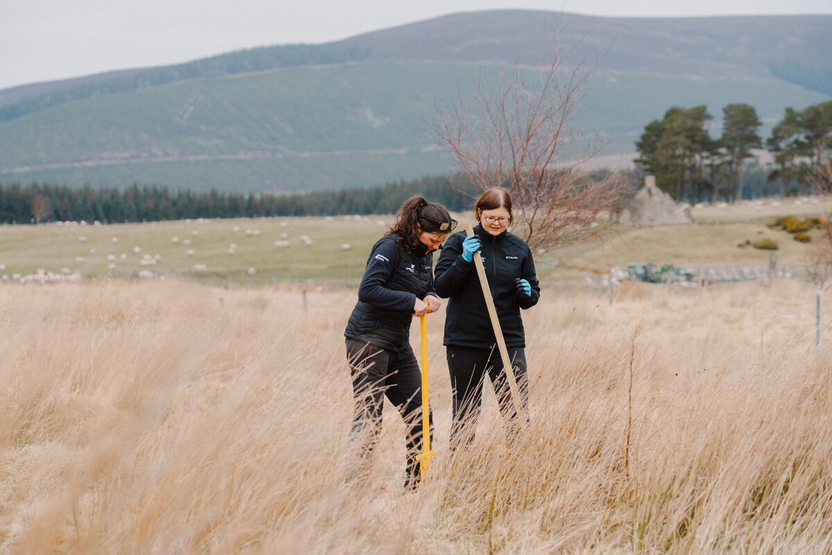 Two people in a field planting trees