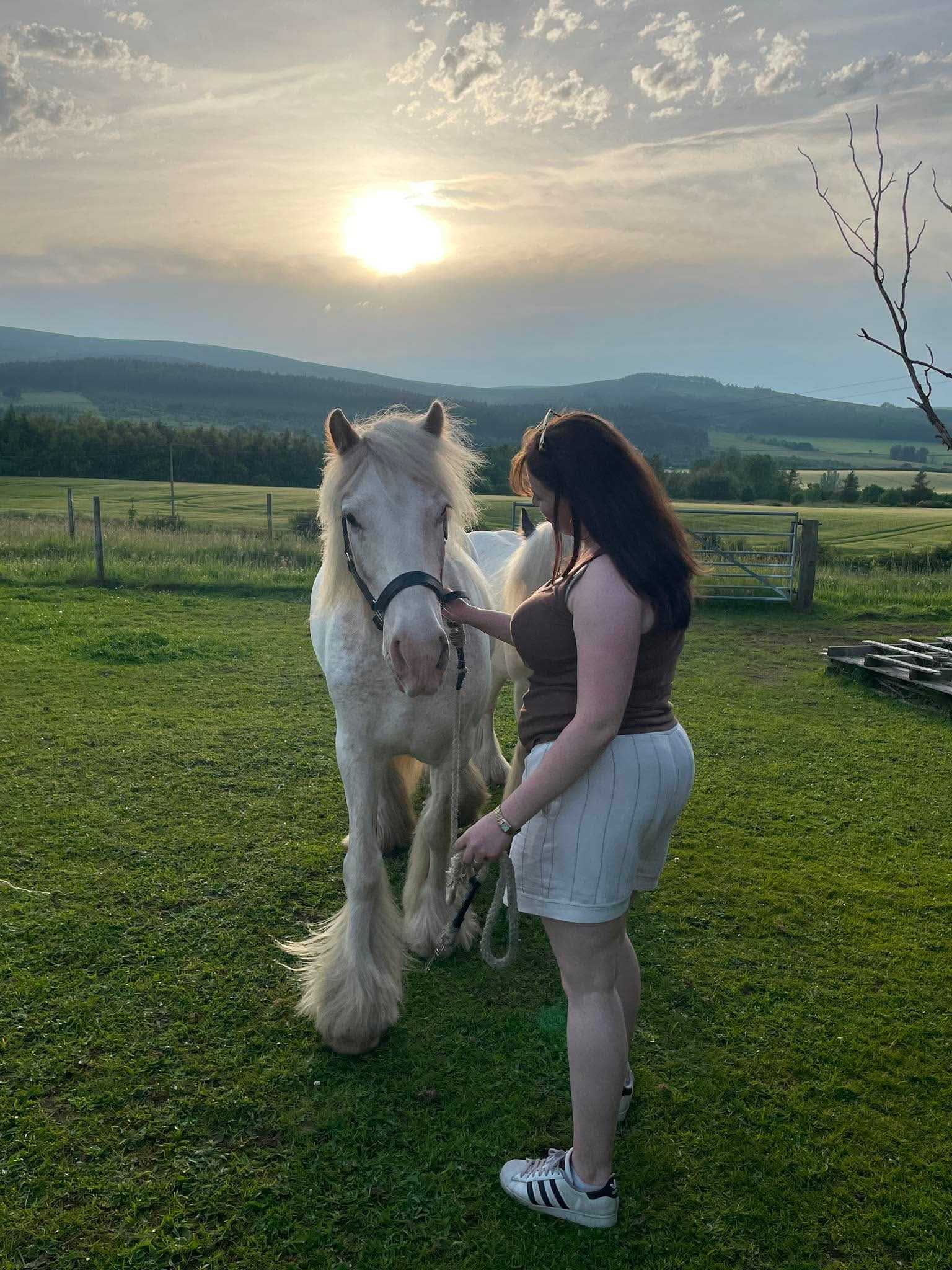 White horse facing the camera being held by a young woman