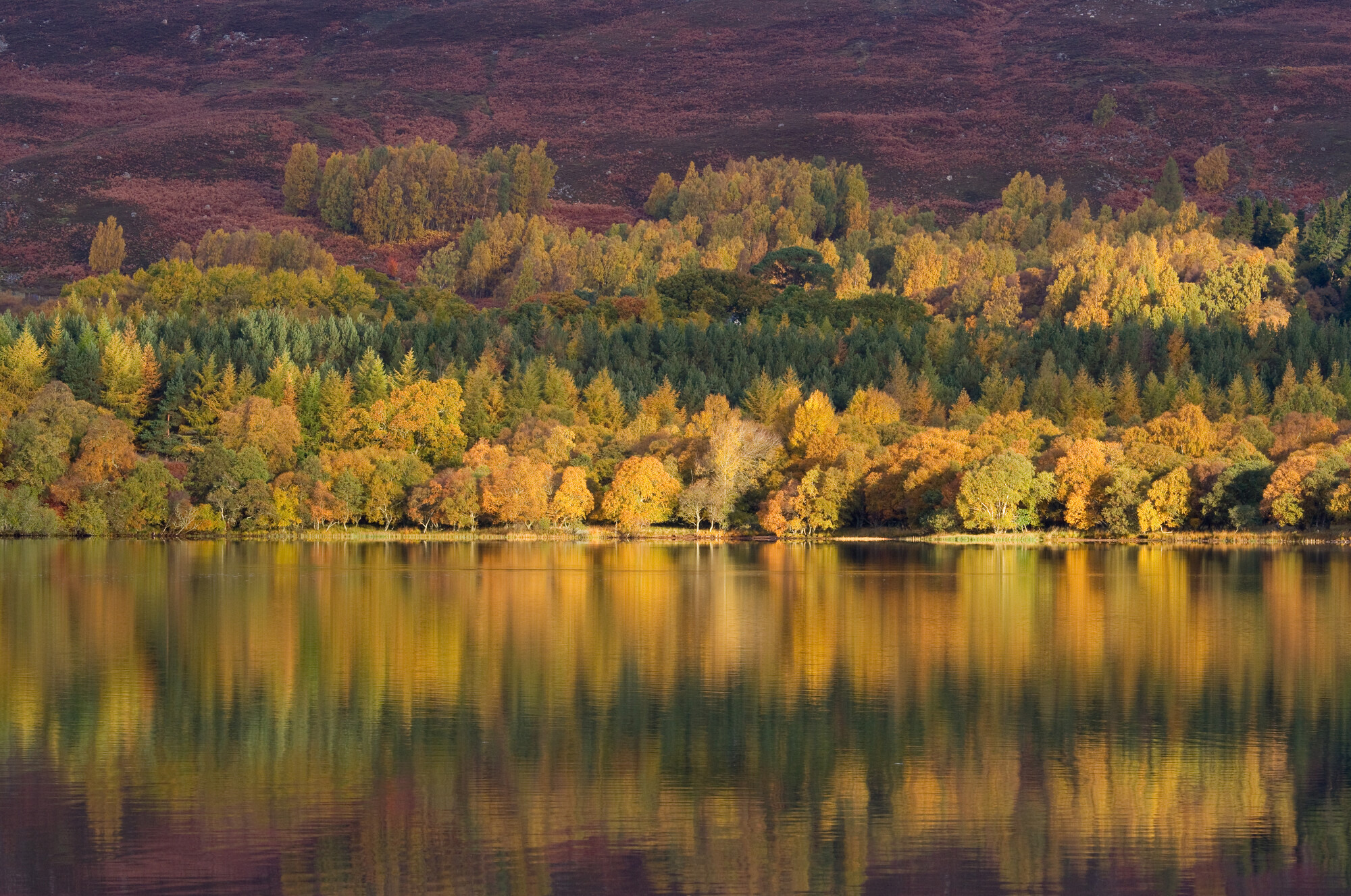 Autumn colours reflected on the loch.