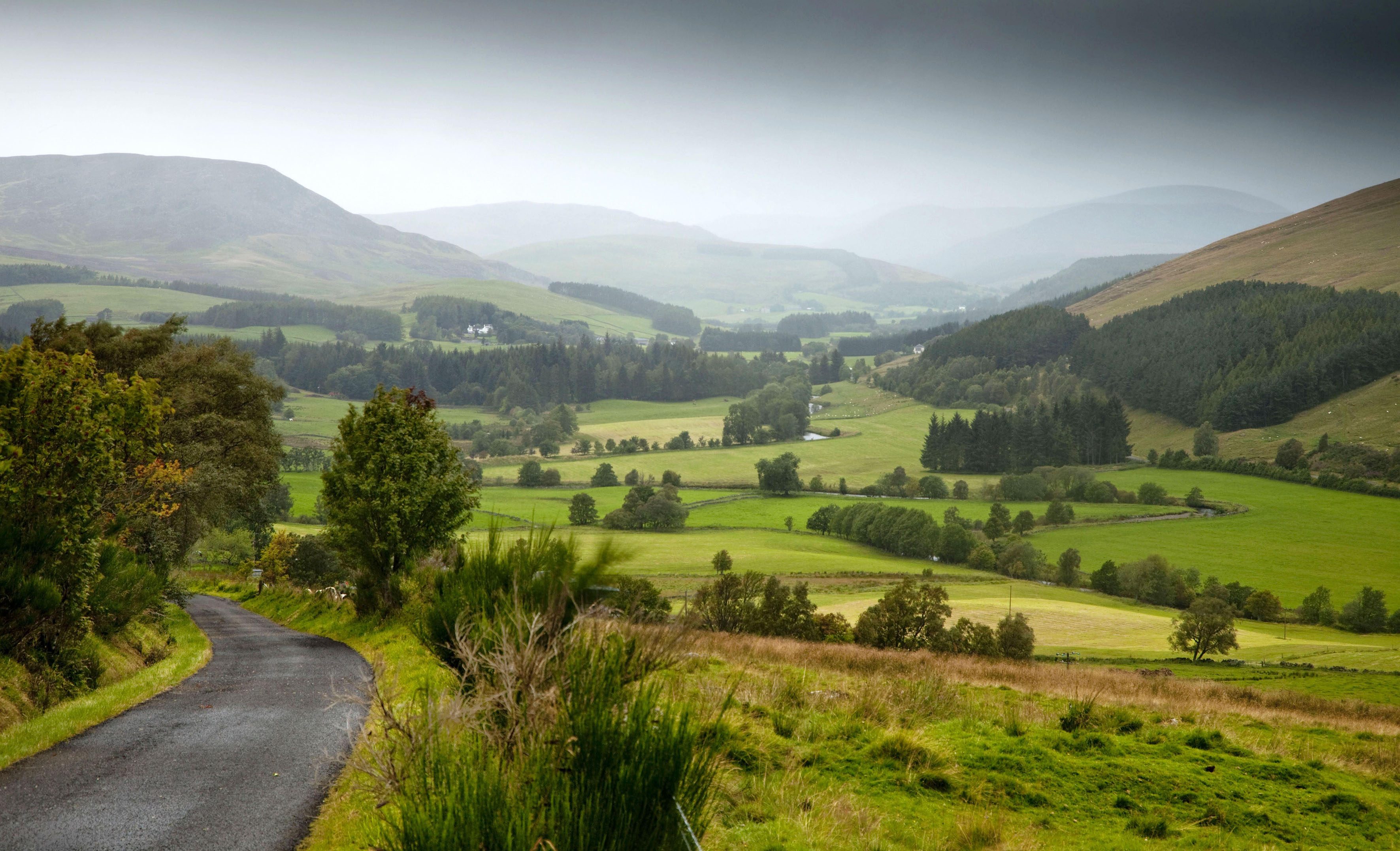 Rolling hills of the Glenisla landscape