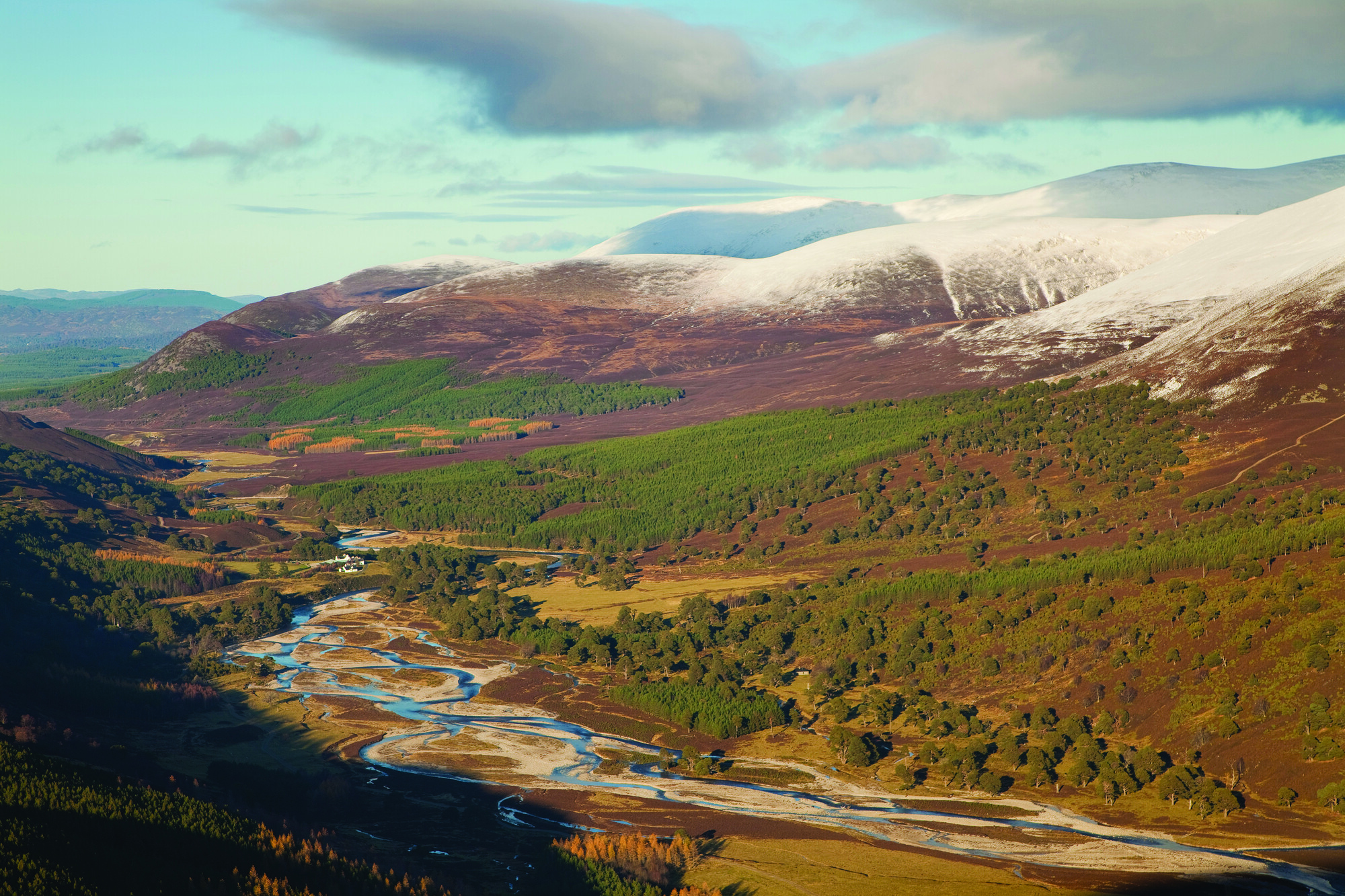 Aerial view of upper Glen Feshie showing pine forest and braided river channels of River Spey, Cairngorms National Park, Scotland