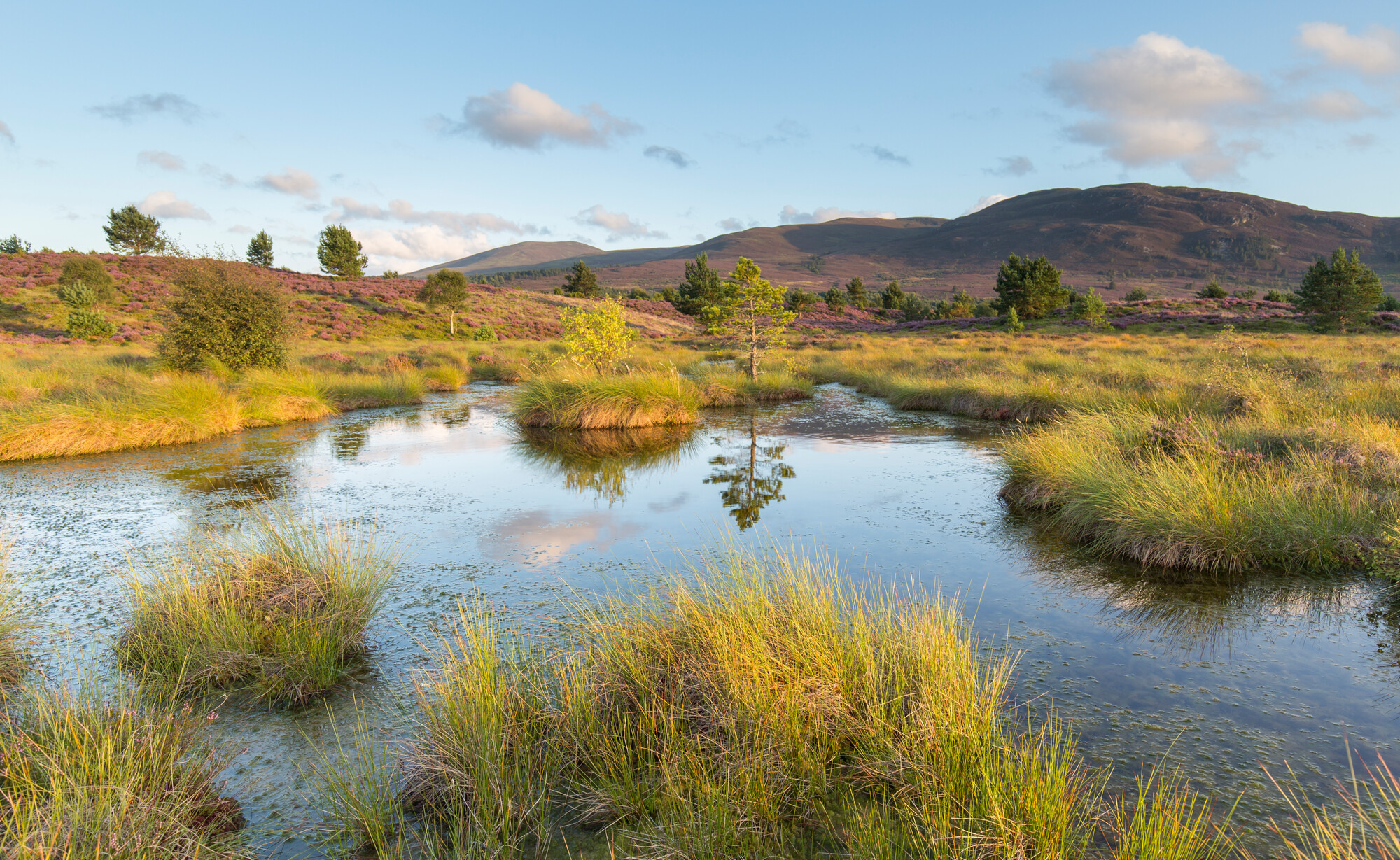 Small pool on bog moorland, Tulloch Moor.