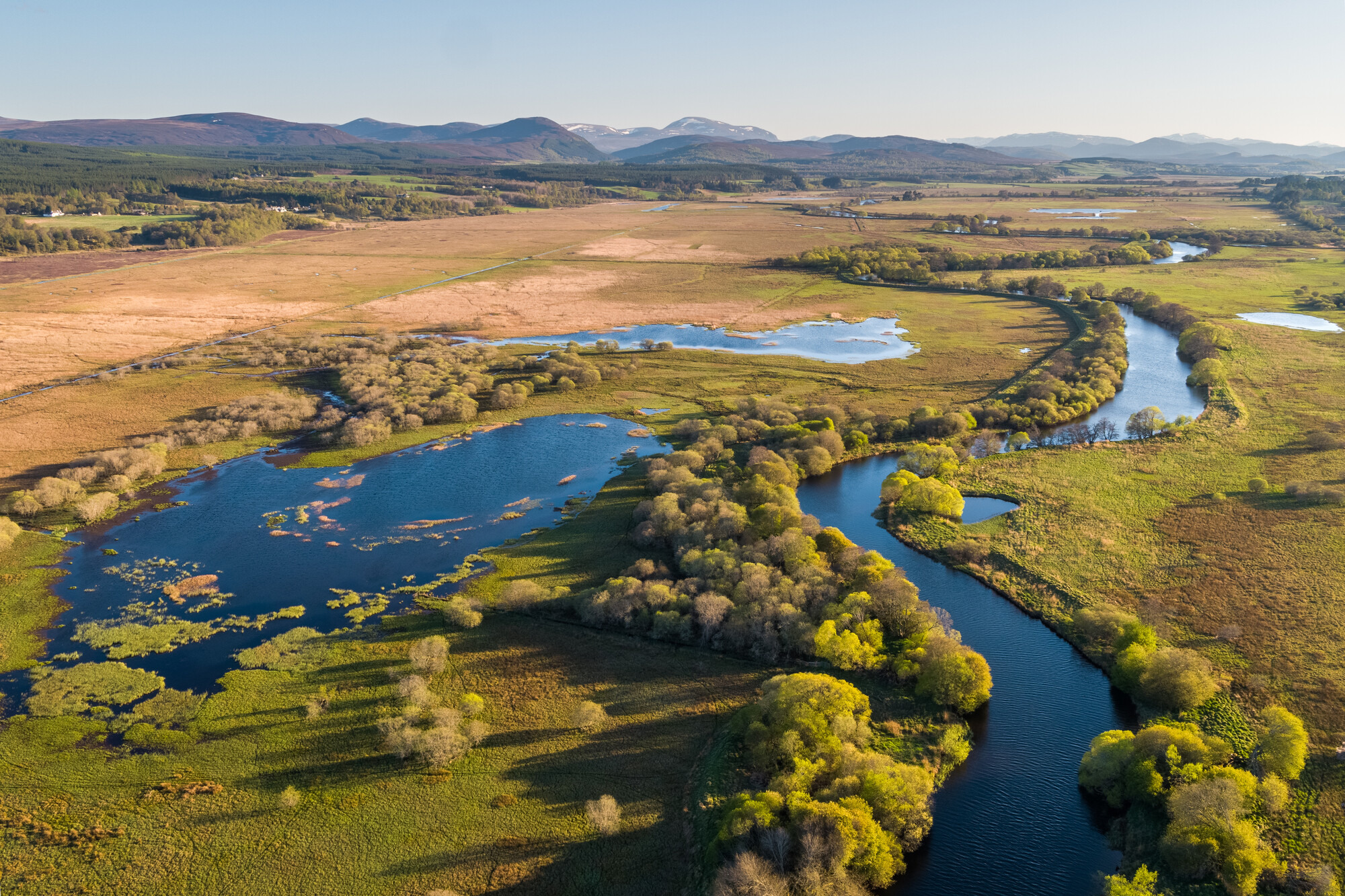 Tree lined River Spey running through Insh Marshes.