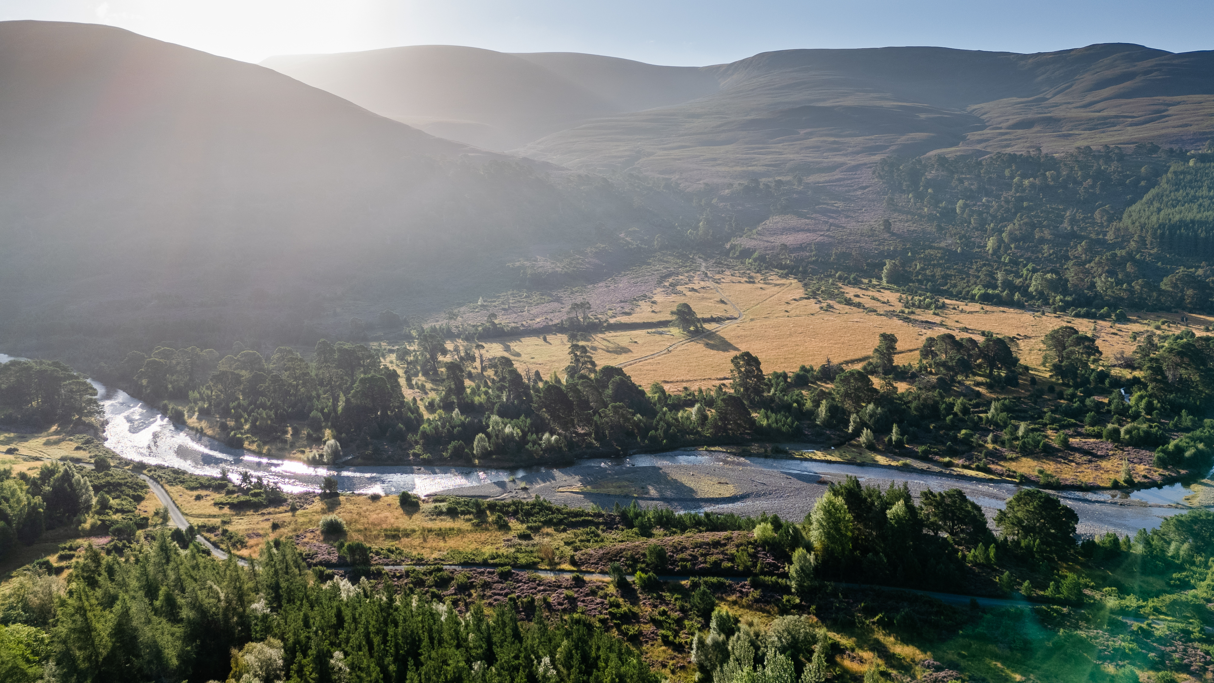 Woodland expansion in Glenfeshie