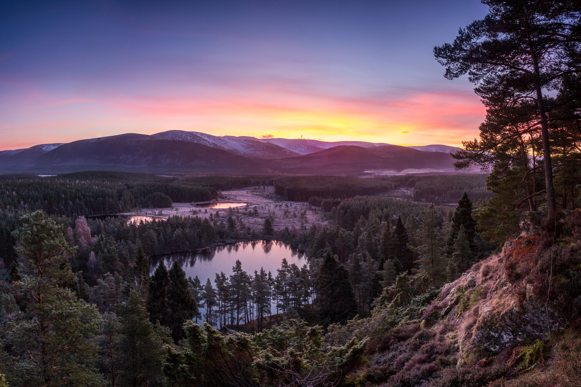 Looking over the Uath Lochans at sunrise.