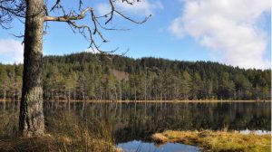 Uath Lochan