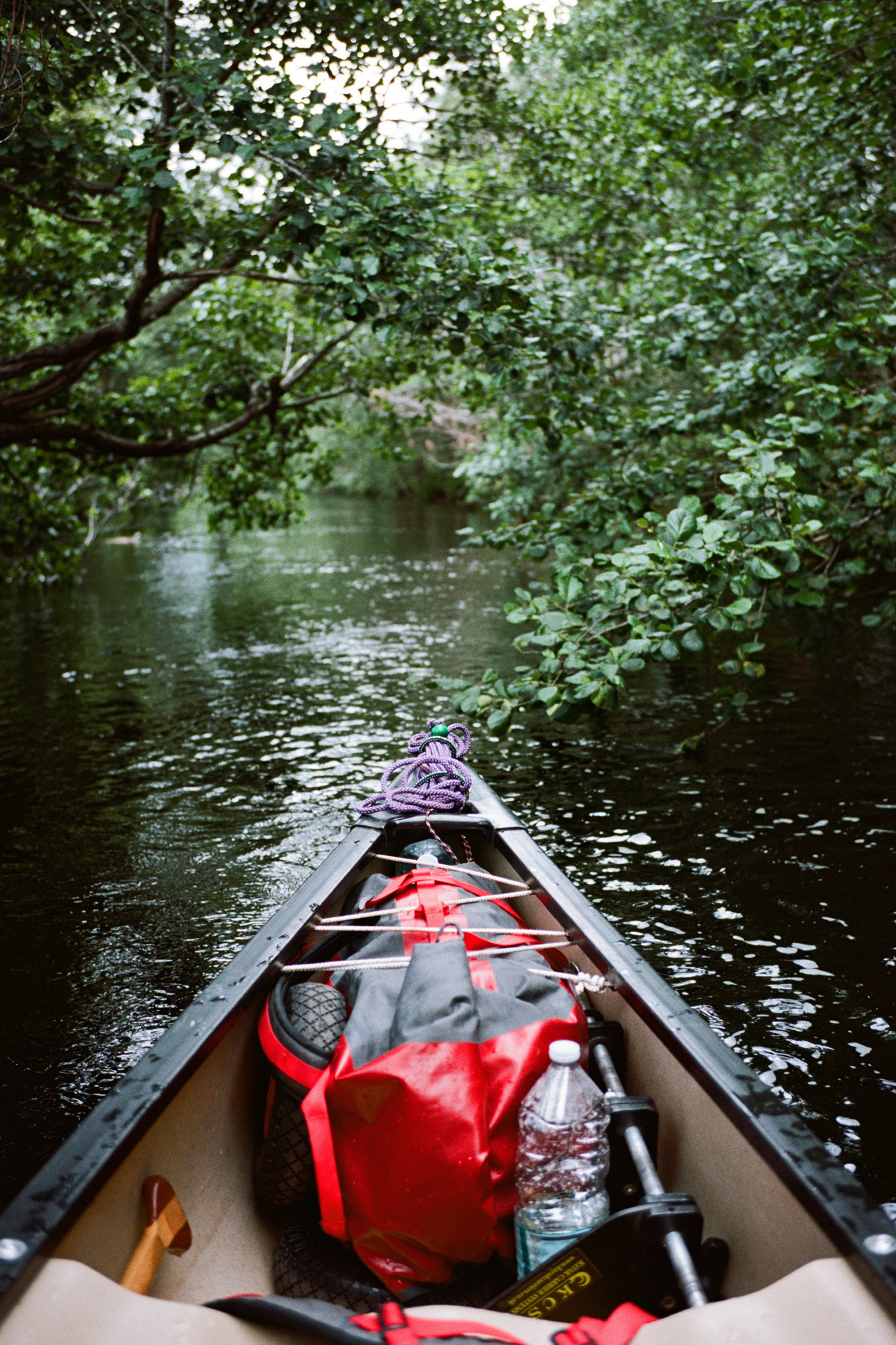 Image taken from a canoe in a river, with the end of the canoe visible and water surrounding it.