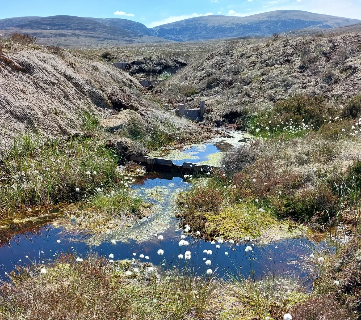 Peat bog under a blue sunny sky with hills in the distance