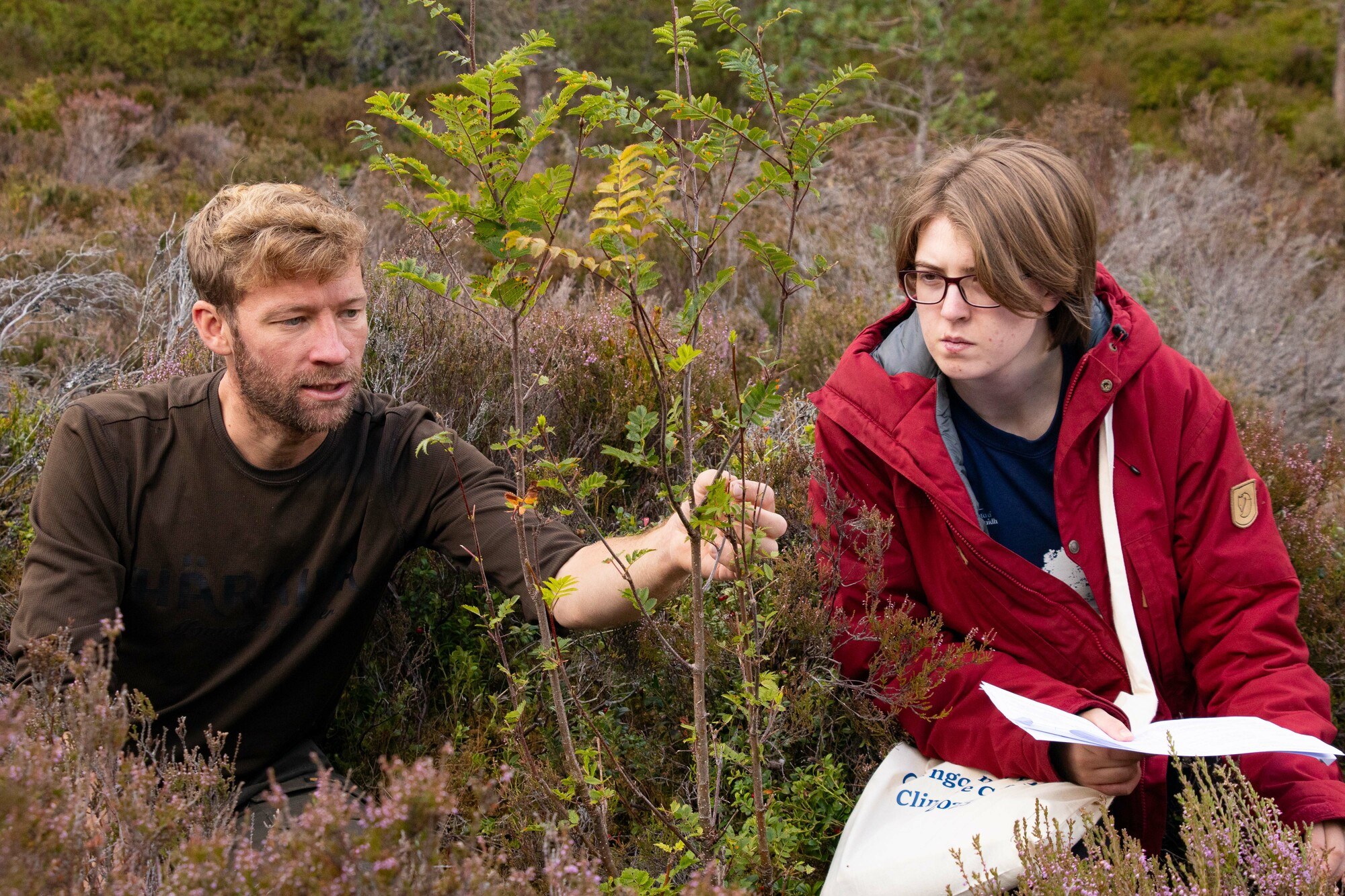 Two young people crouched down in dense heather examining a sapling. The person on the left wears a brown t-shirt and the person on the right has glasses and is wearing a red jacket.