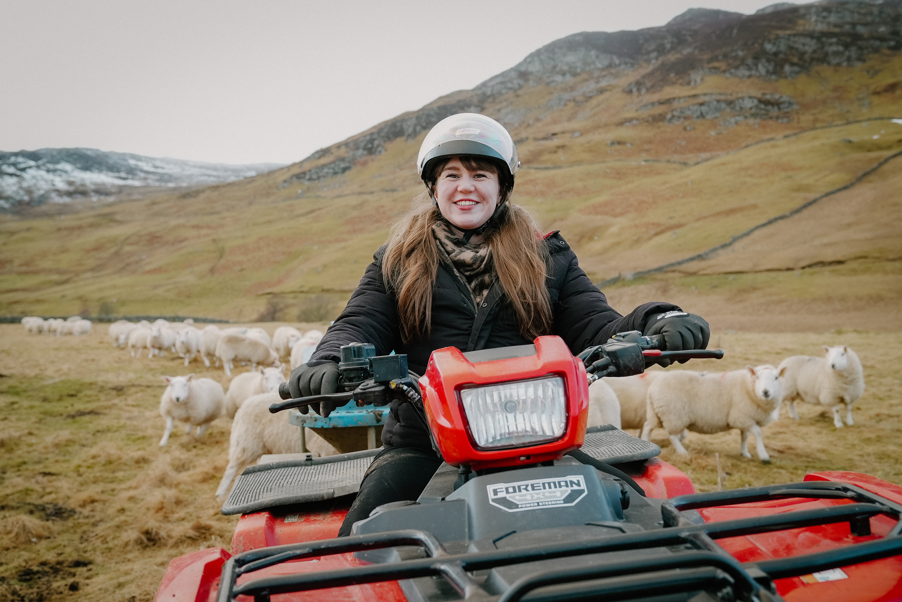 Woman on a quad bike wearing a helmet, with sheep in background