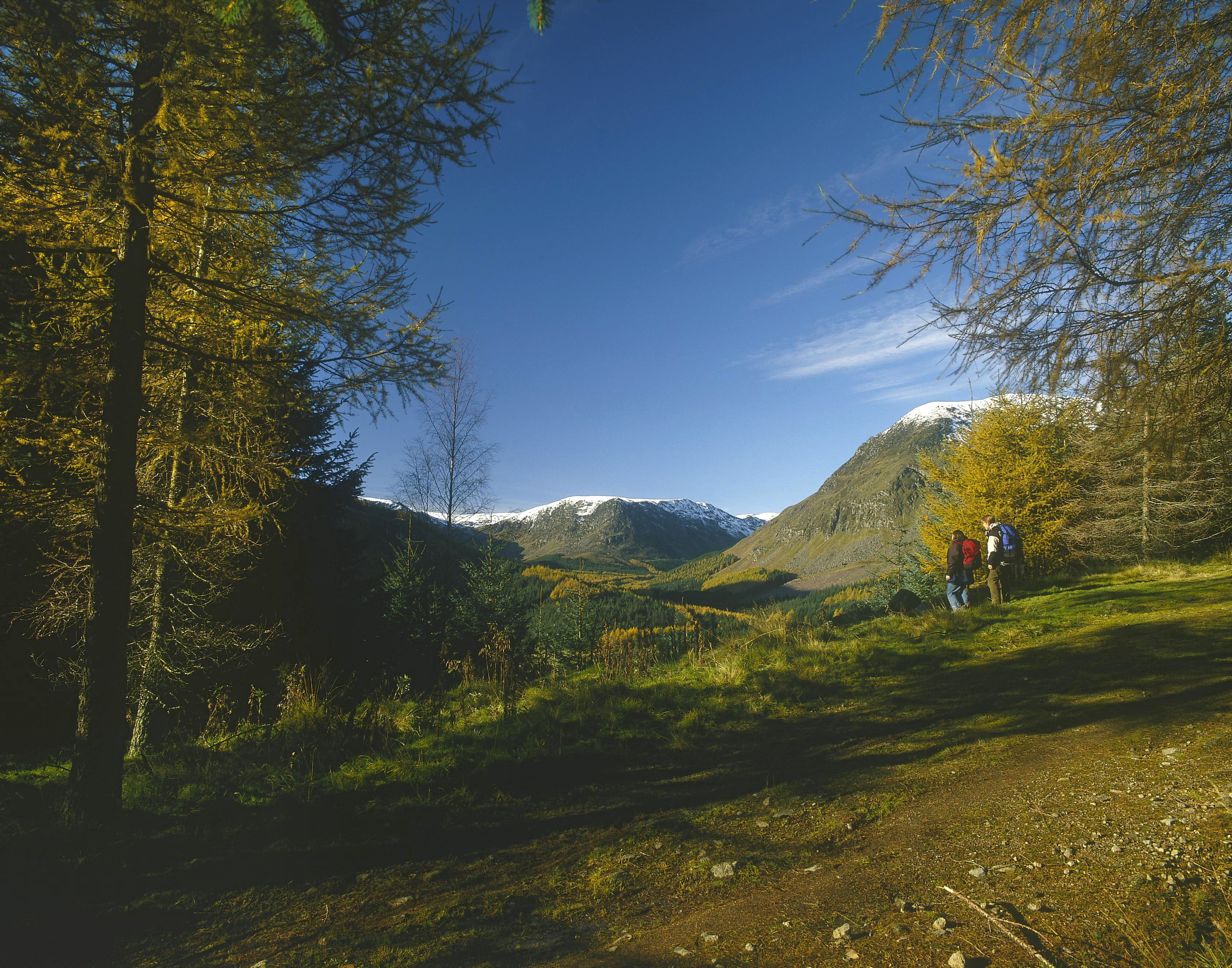 Two people look over a snow capped hill landscape with autumnal leaves and trees on each side.