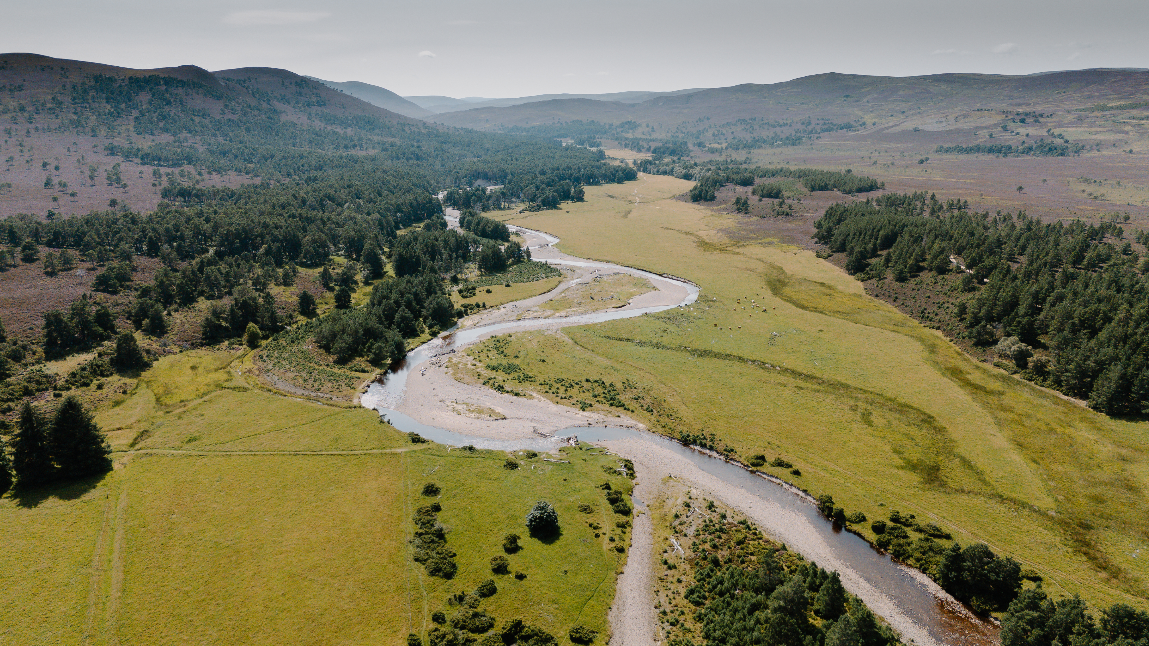 Aerial view, taken from a drone, of the Slugain Burn and the surrounding landscape, including greenspace and woodland.