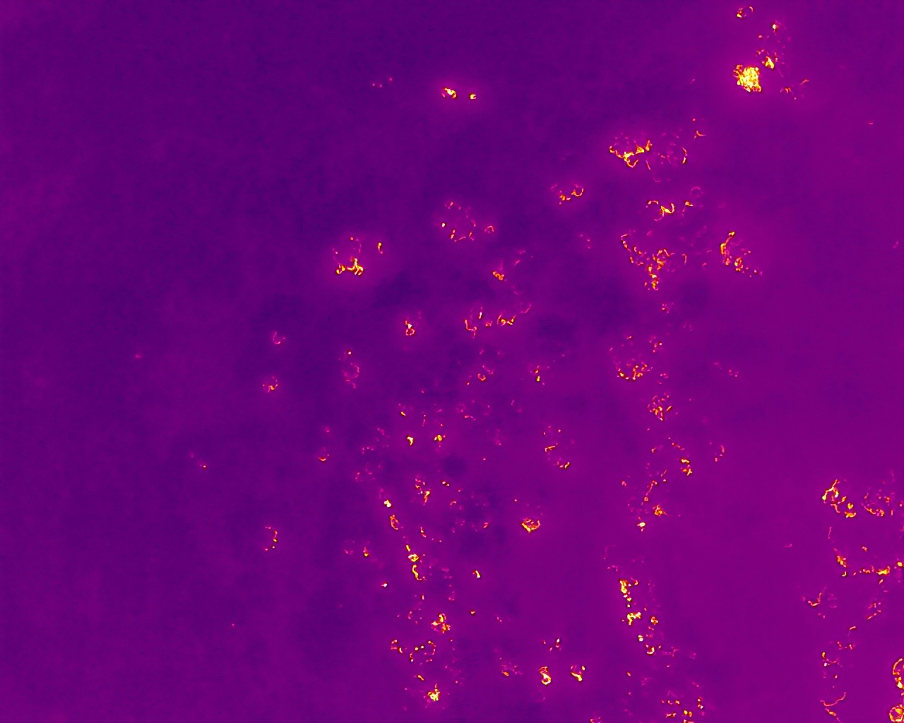 Drone image taken of the wildfire, showing some hotspots.