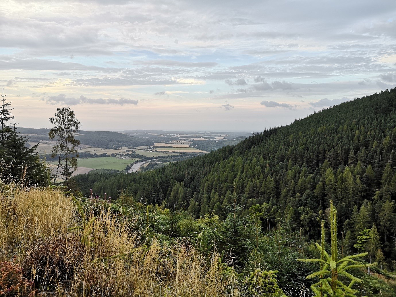 Beautiful views of the rolling countryside which are seen along the whole route