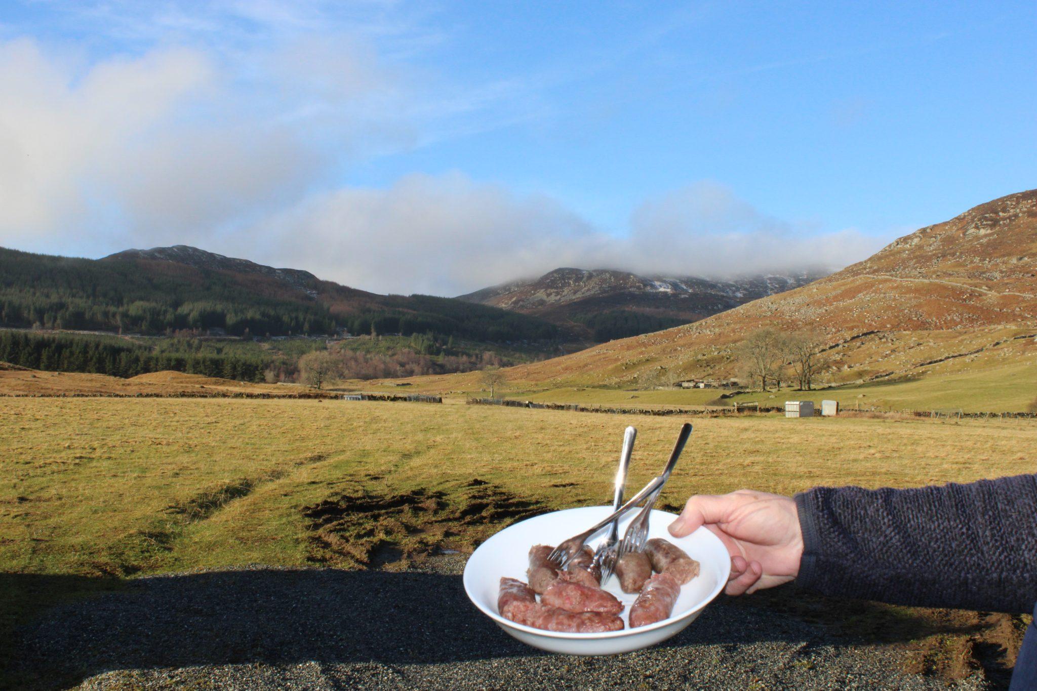 Hand holding plate full of venison sausages with view of fields and mountains in background.