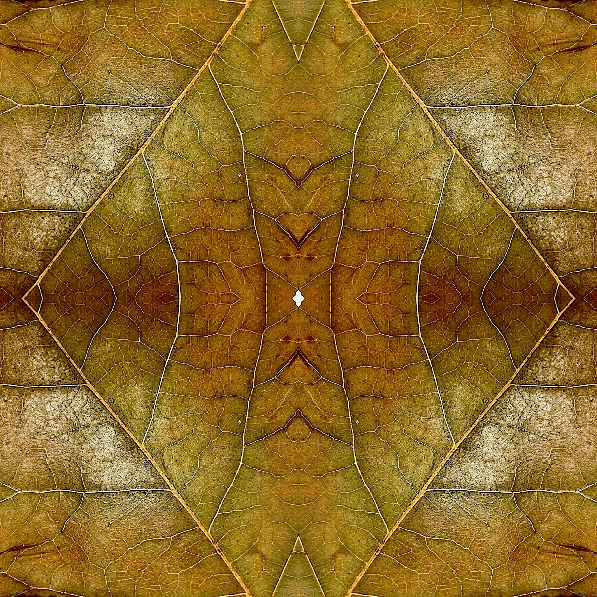An abstract image of yellow, orange and brown leaves.