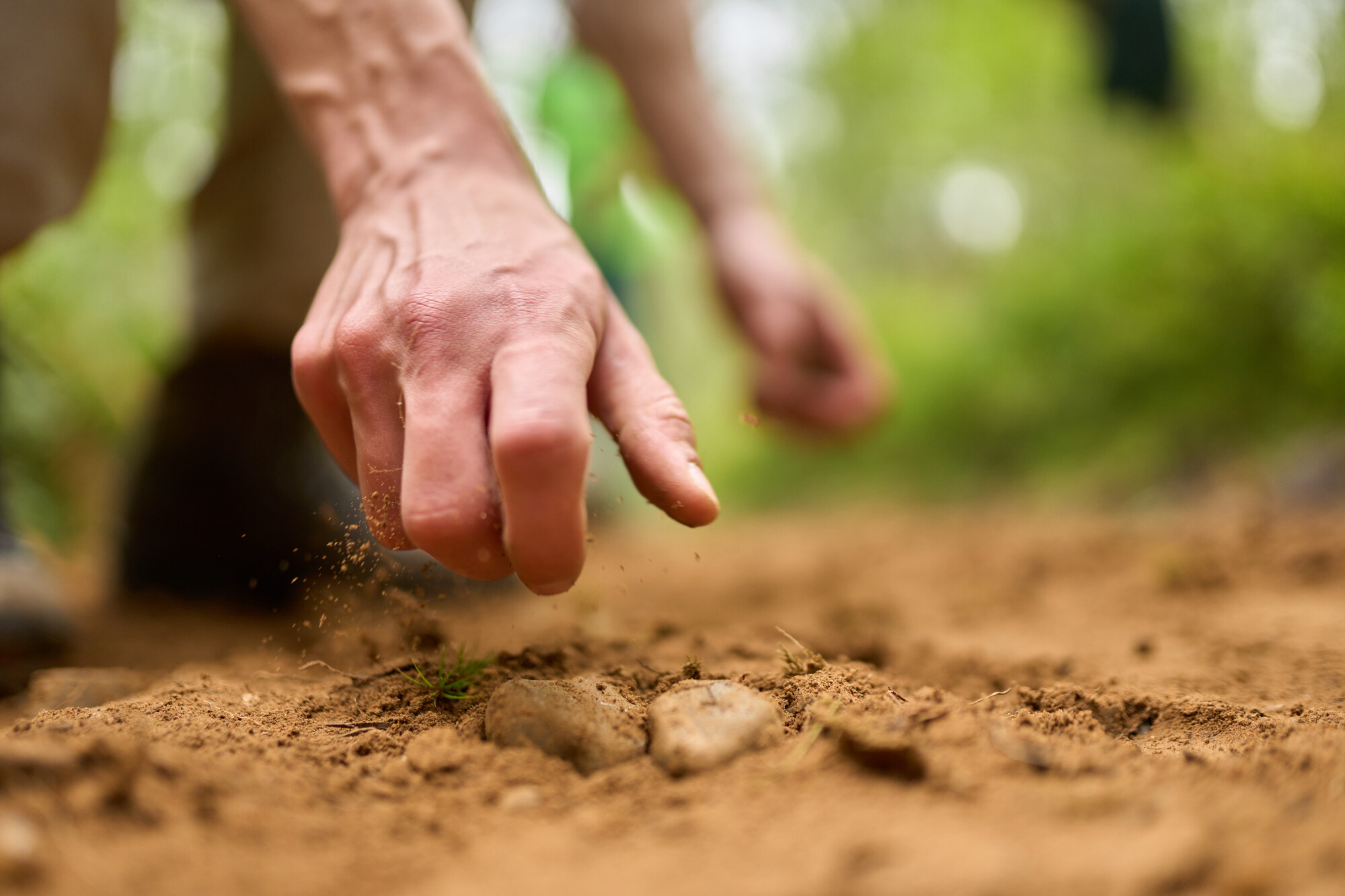 A hand reaches out to grab a stone on a bare earth path in Anagach Woods, Grantown-on-Spey.