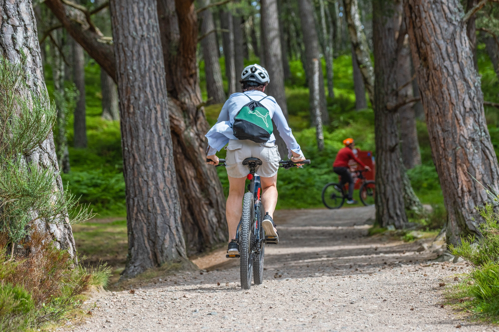 A cyclist riding a mountain bike on a forest trail.