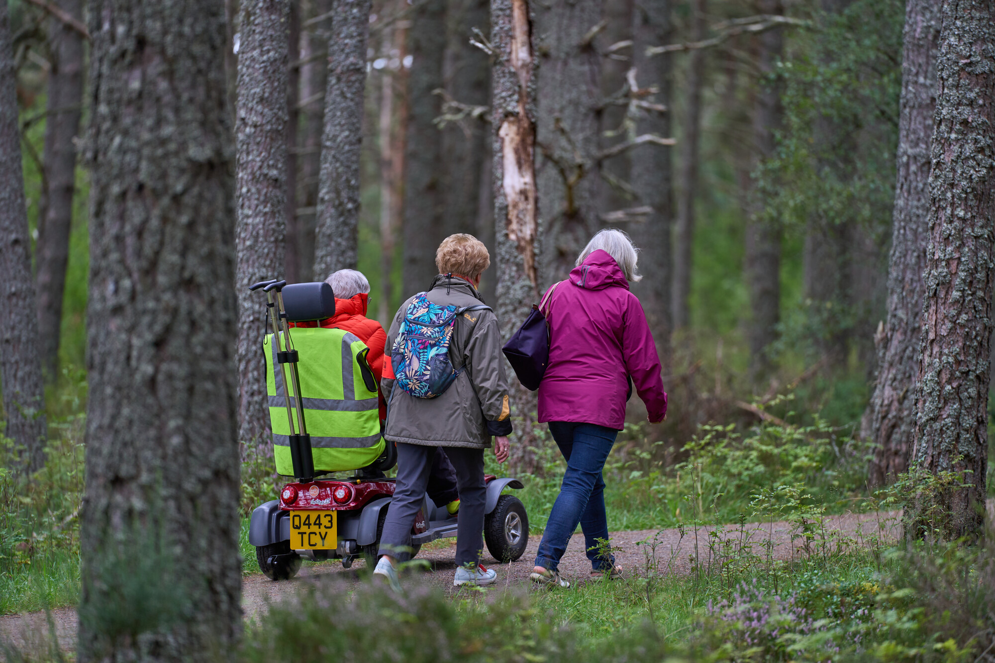 Three people walking in the woods on track, one on a mobility scooter.