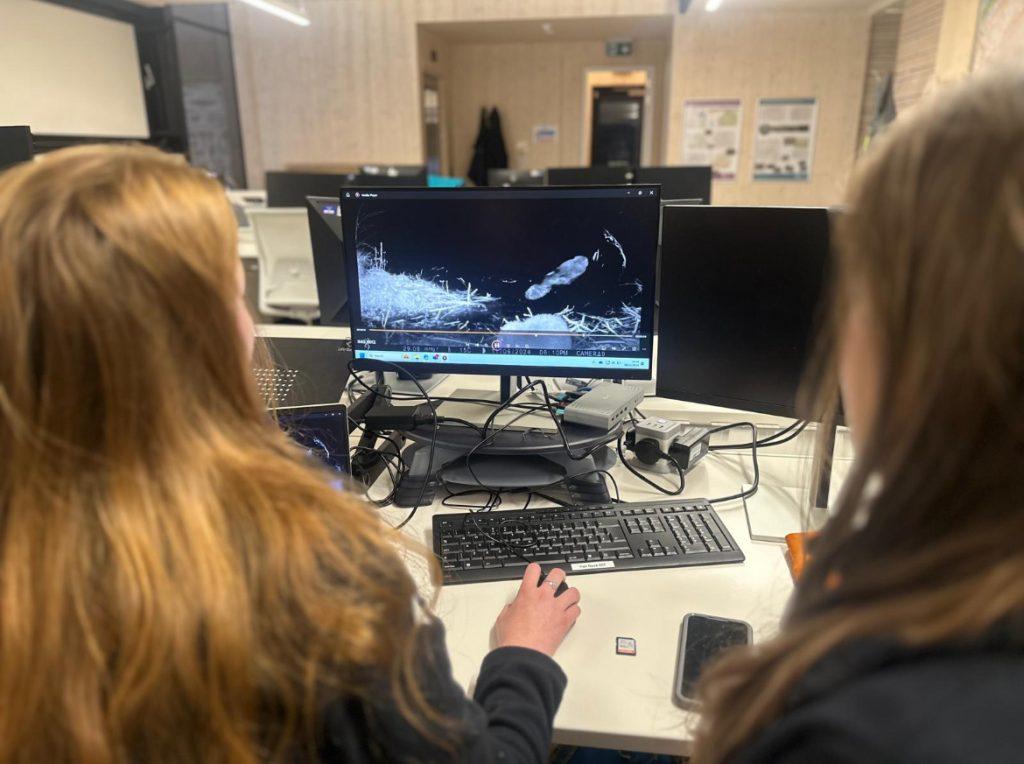 Tow people reviewing beaver video footage in the office.