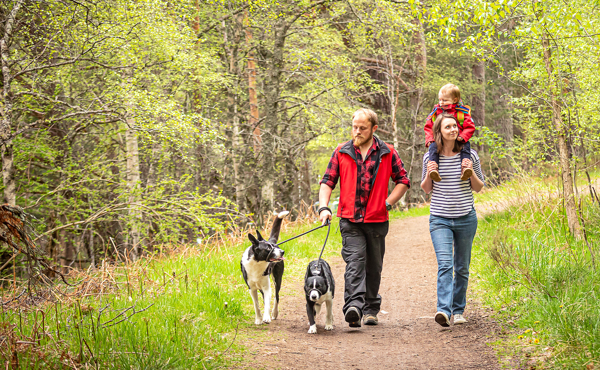 A family walking with 2 dogs on the Old Logging Way.