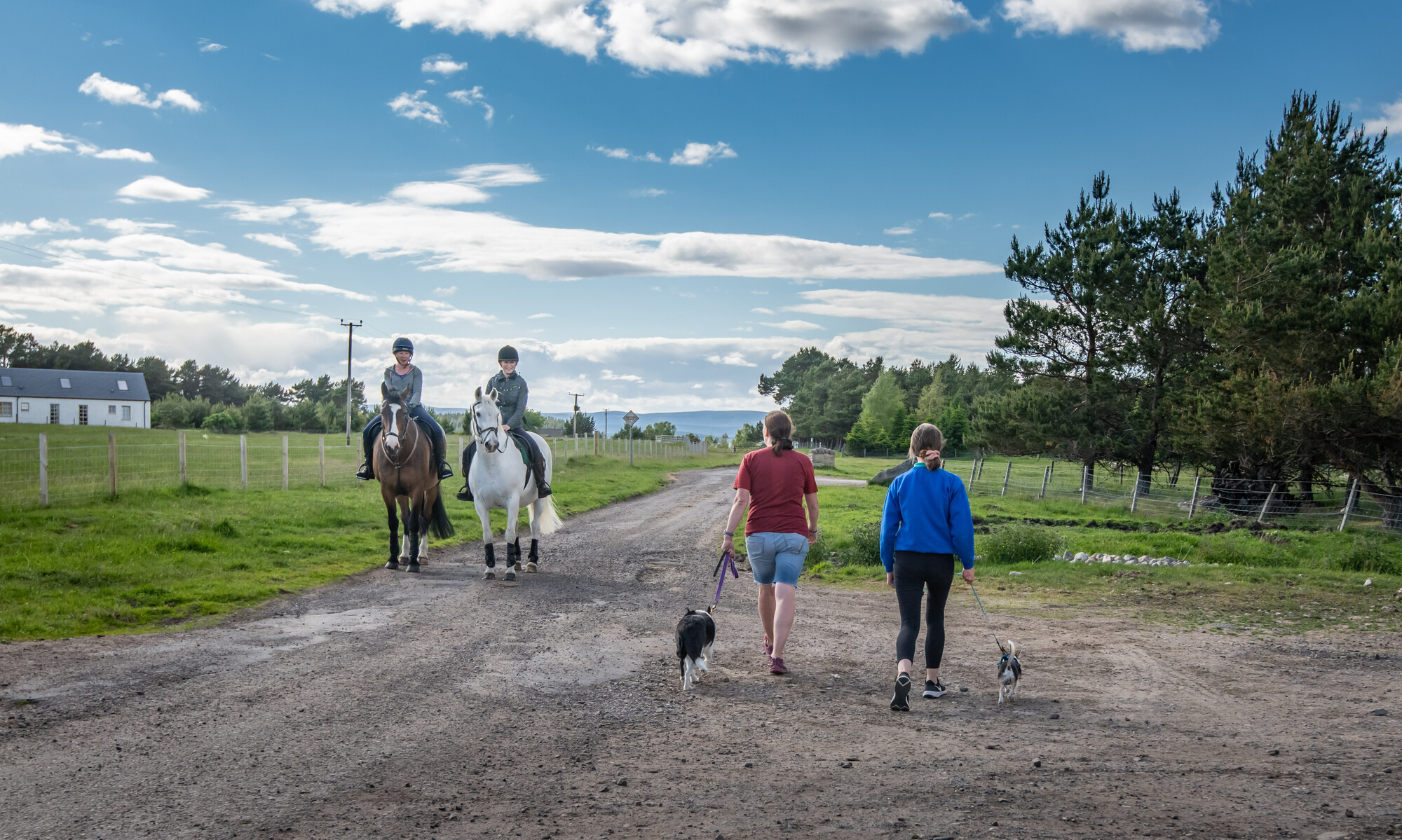 Two dog walkers walking past two people on horseback.