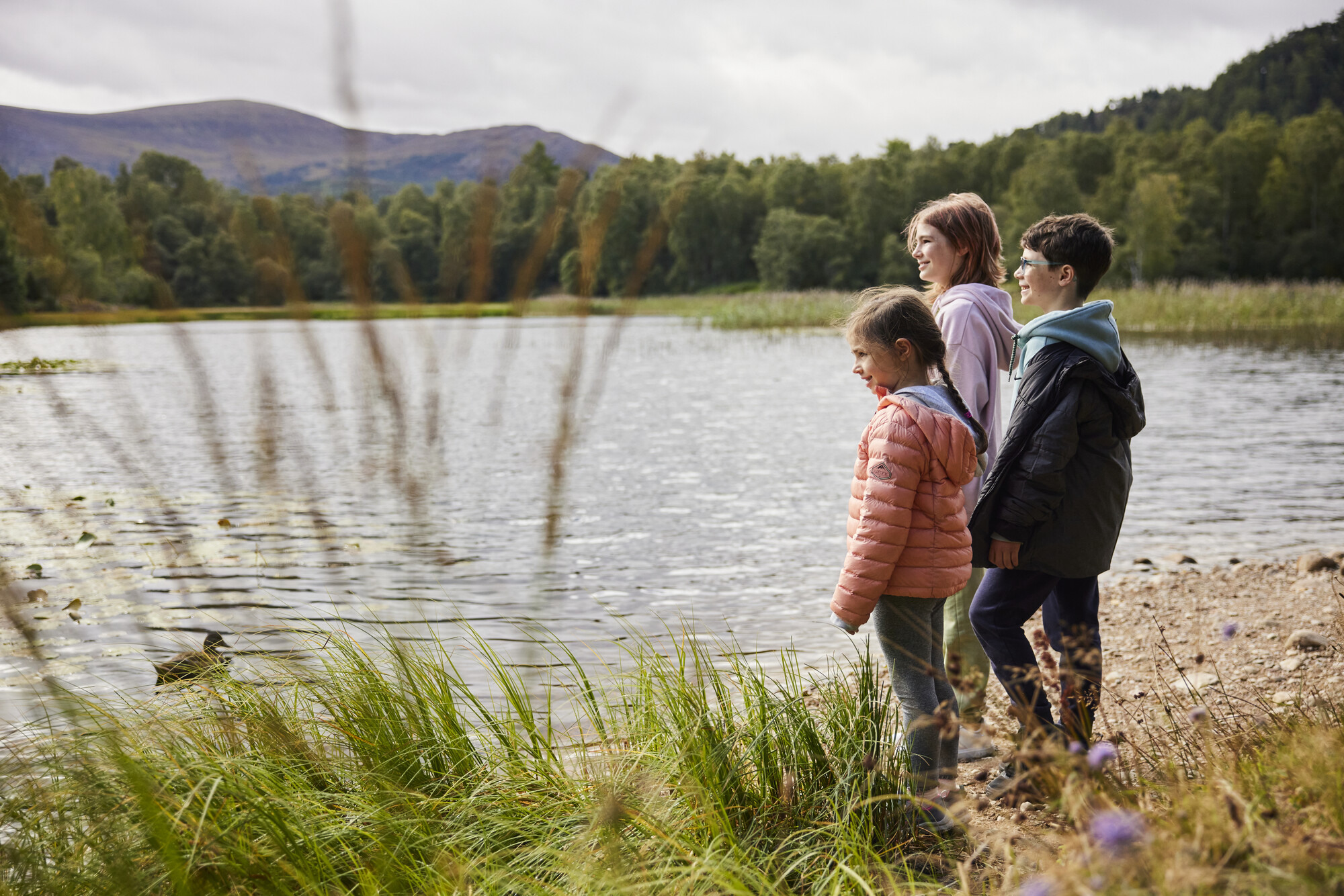 Three children on the beach of a loch with grass in the foreground and trees and mountains in the distance.