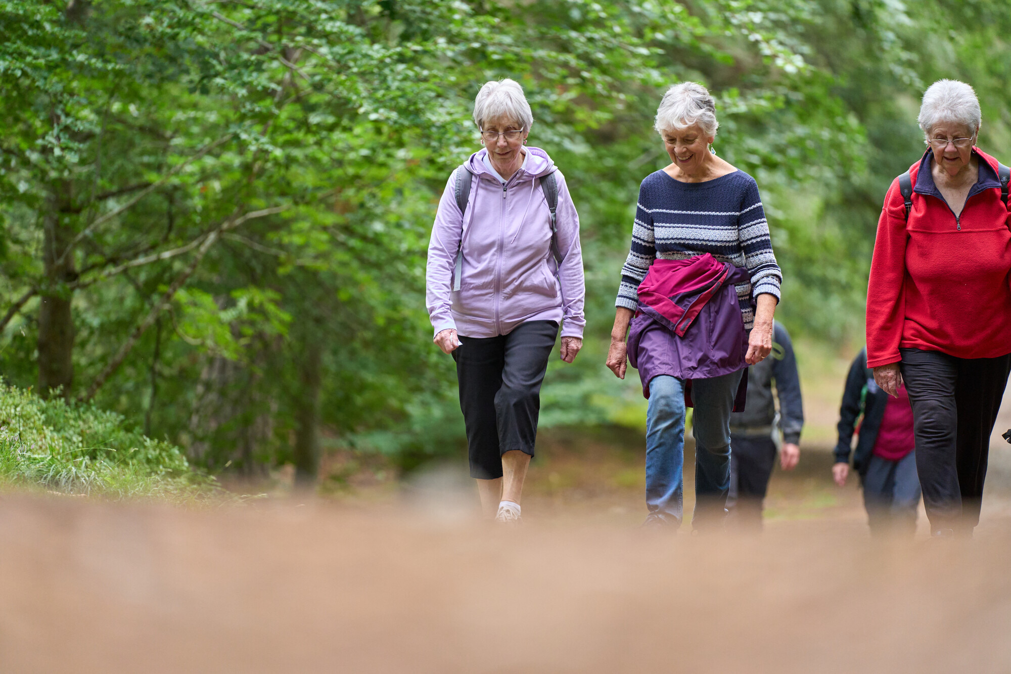 A group of walkers on the Grantown-on-Spey health walk surrounded by trees.