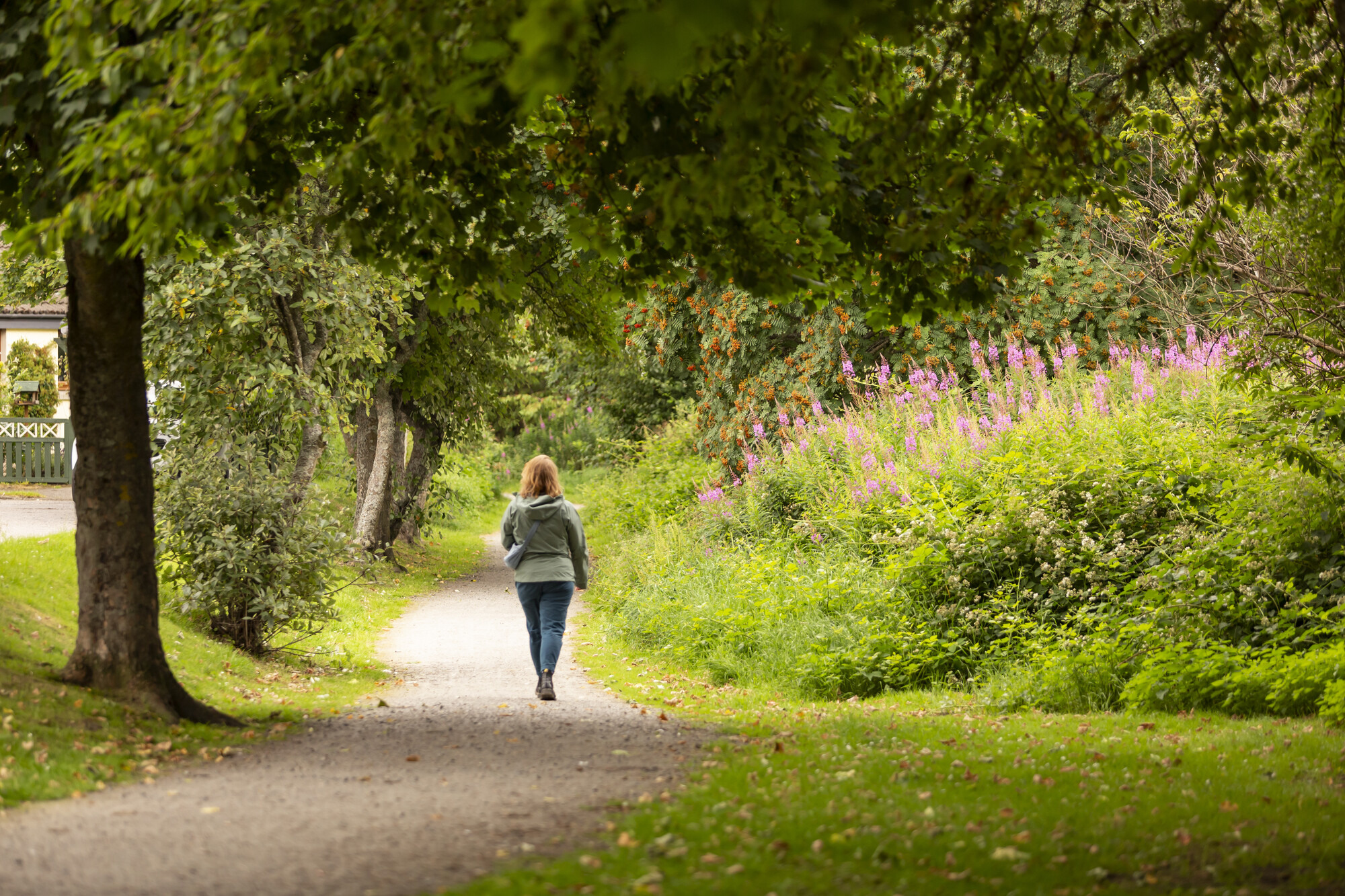 Woman walking away from camera on gravel path with trees and building to the left and plants to the right.